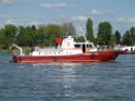 Motor Segelboot mit Motorschaden trieb gegen Alte Liebe bei Koeln Rodenkirchen P012